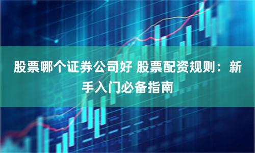 股票哪个证券公司好 股票配资规则：新手入门必备指南