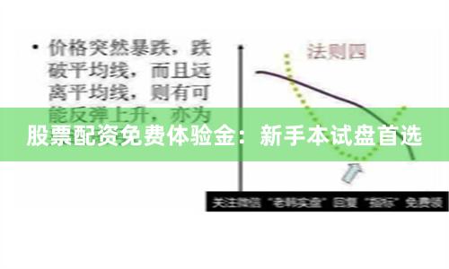 股票配资免费体验金：新手本试盘首选