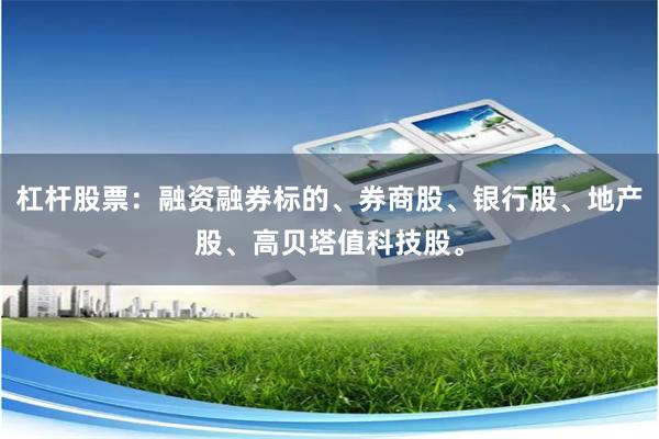 杠杆股票：融资融券标的、券商股、银行股、地产股、高贝塔值科技股。