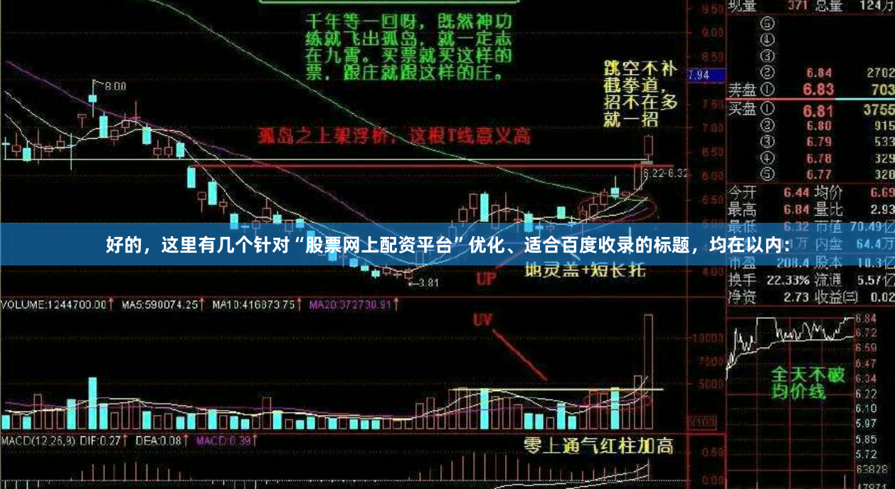 好的，这里有几个针对“股票网上配资平台”优化、适合百度收录的标题，均在以内：